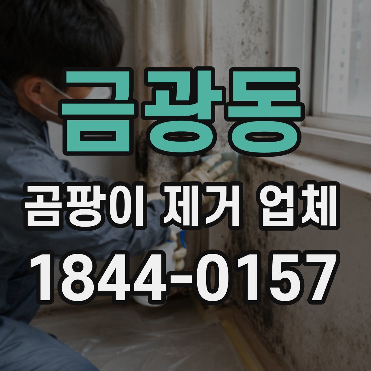 금광동 곰팡이 제거 업체