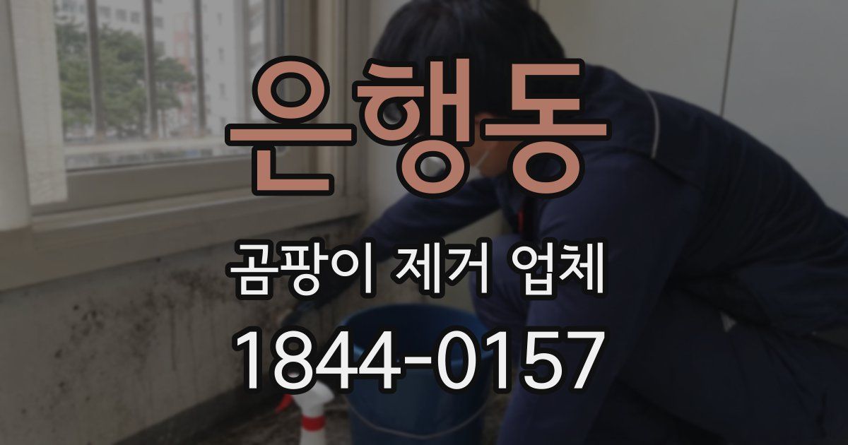 은행동 곰팡이 제거 업체