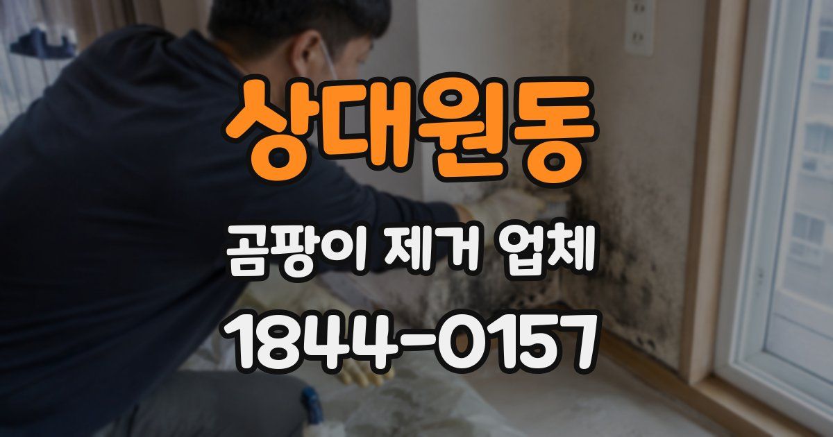 상대원동 곰팡이 제거 업체