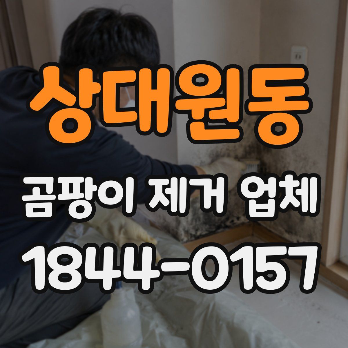 상대원동 곰팡이 제거 업체