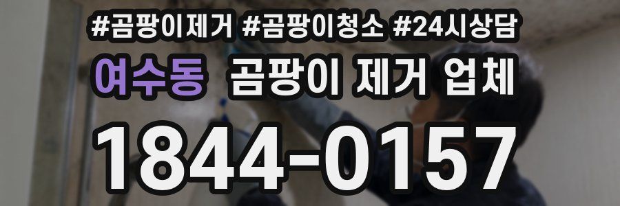 여수동 곰팡이 제거 업체