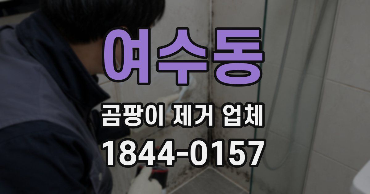 여수동 곰팡이 제거 업체
