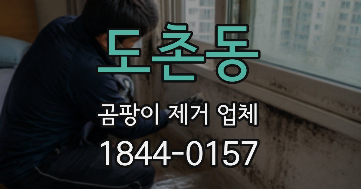 도촌동 곰팡이 제거 업체