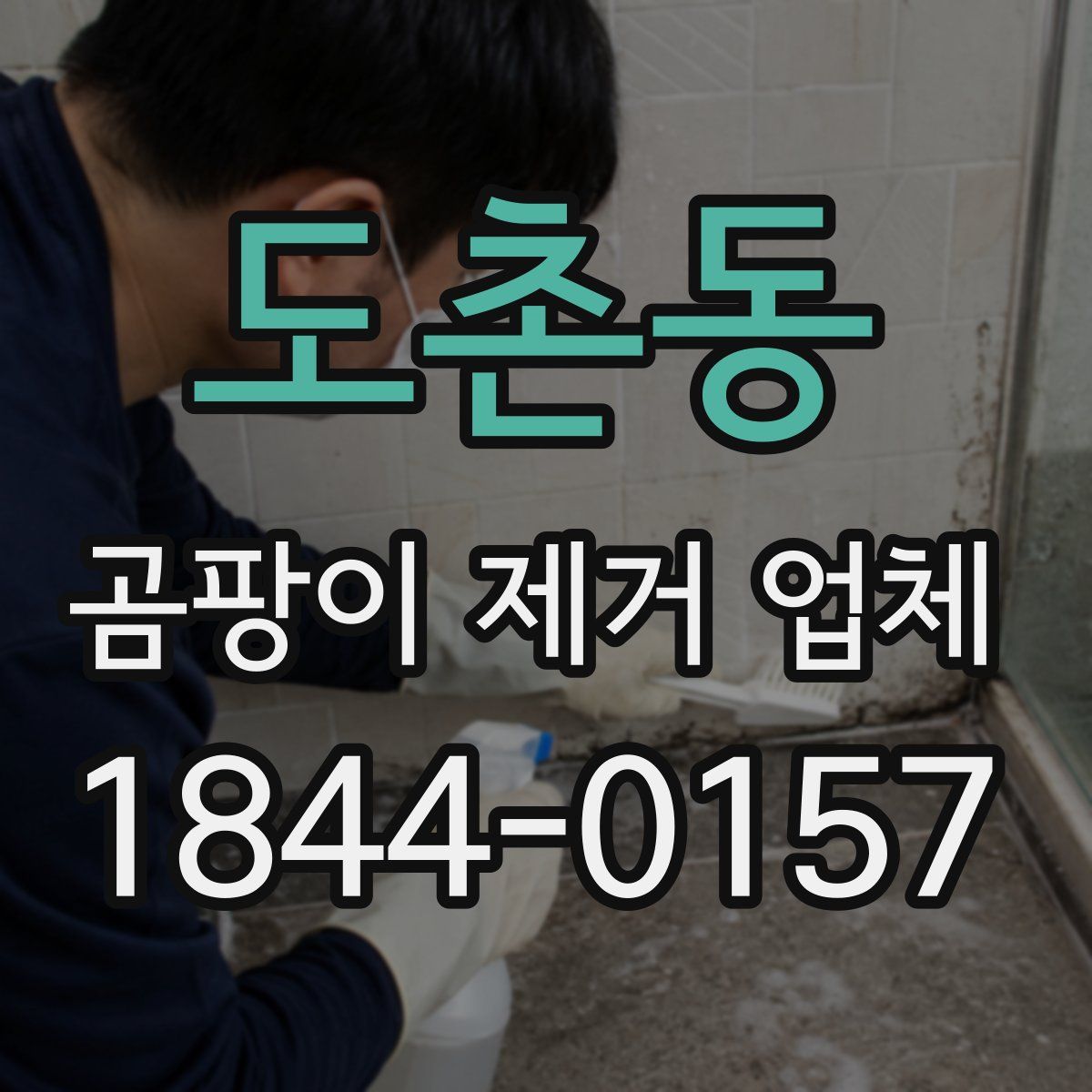 도촌동 곰팡이 제거 업체