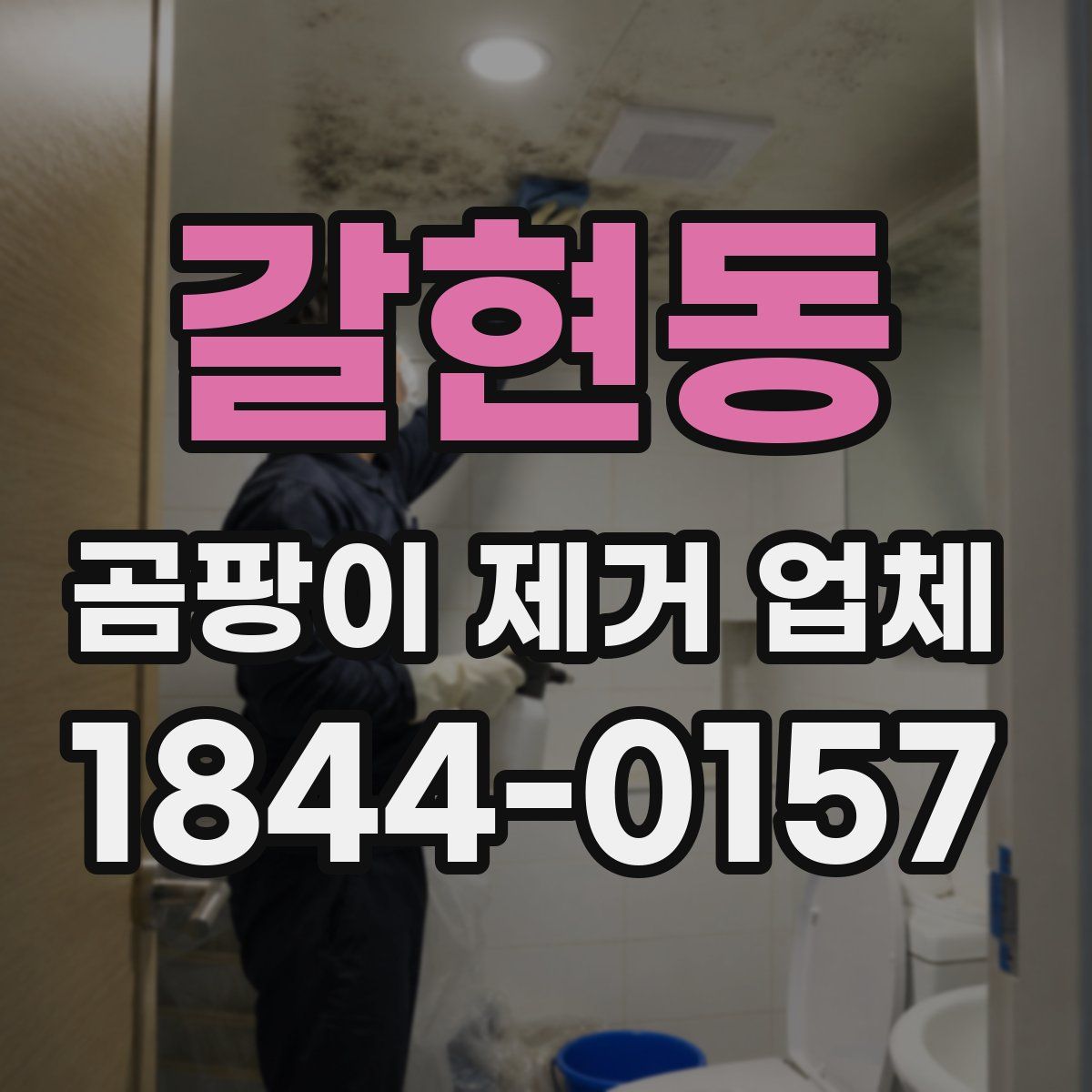 갈현동 곰팡이 제거 업체