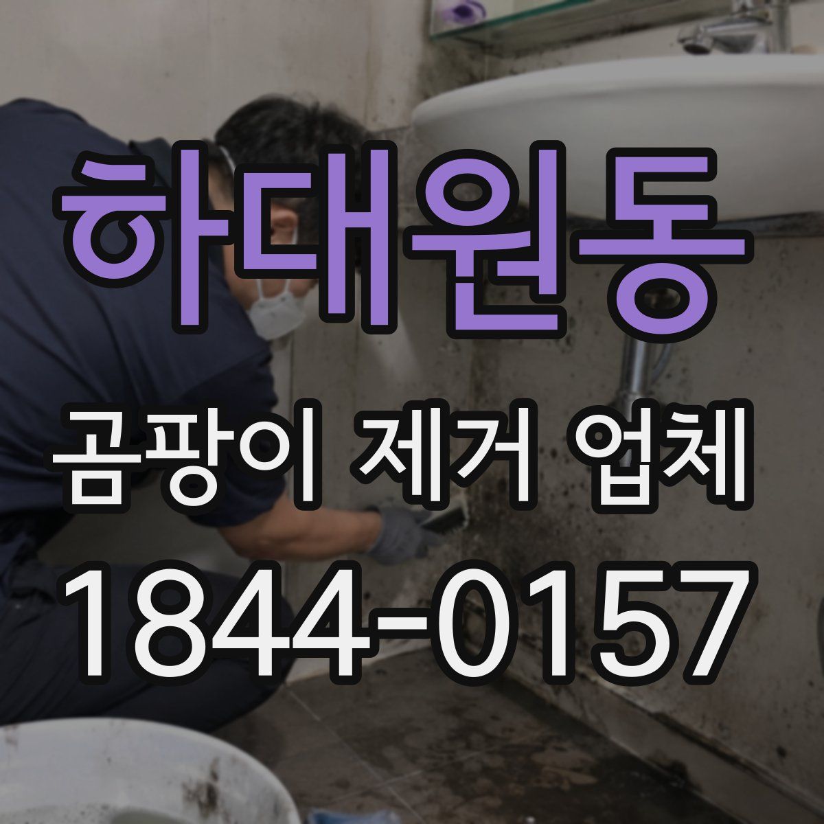 하대원동 곰팡이 제거 업체