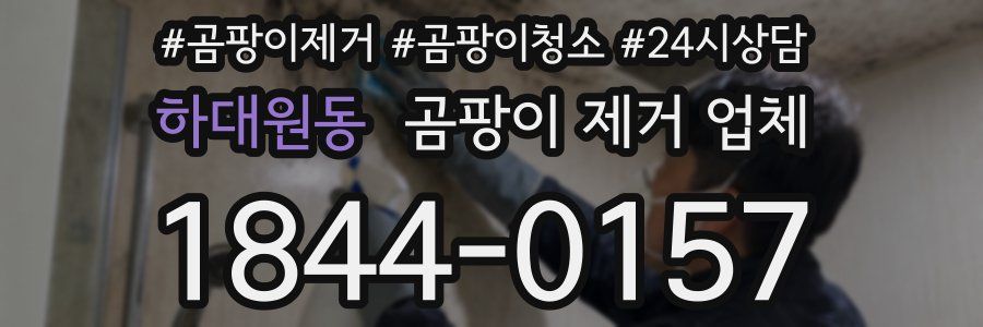 하대원동 곰팡이 제거 업체