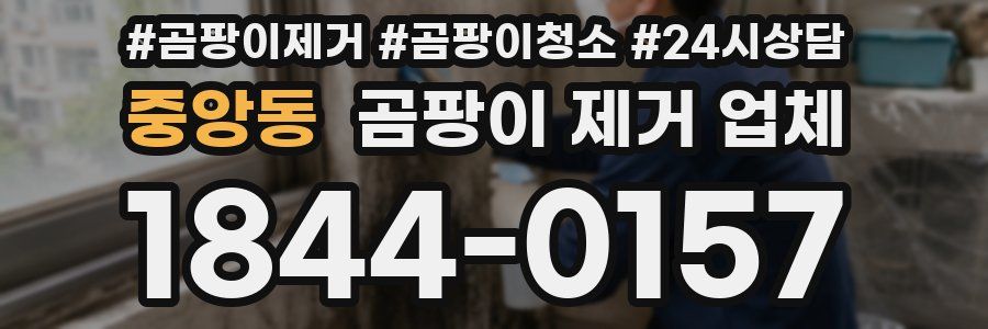 중앙동 곰팡이 제거 업체