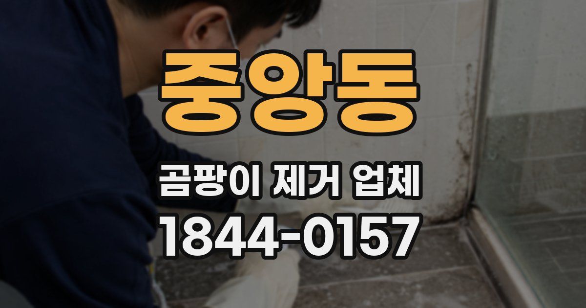 중앙동 곰팡이 제거 업체