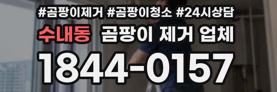 수내동 곰팡이 제거 업체