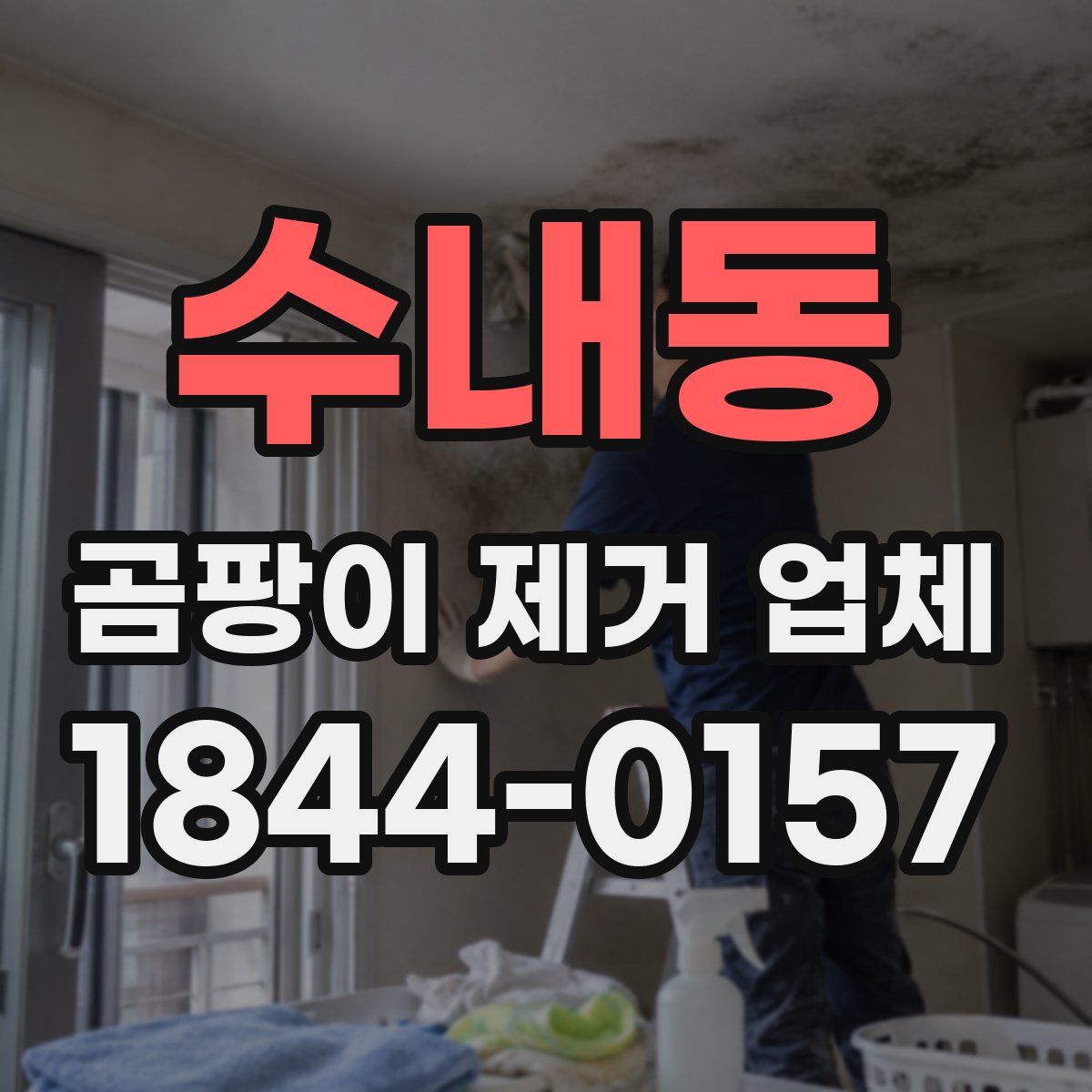 수내동 곰팡이 제거 업체