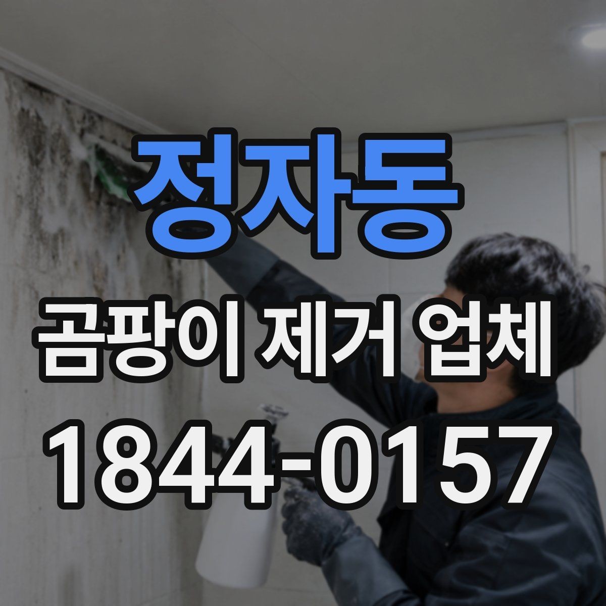 정자동 곰팡이 제거 업체 세입자와 집주인이 함께 보는 점검 자료