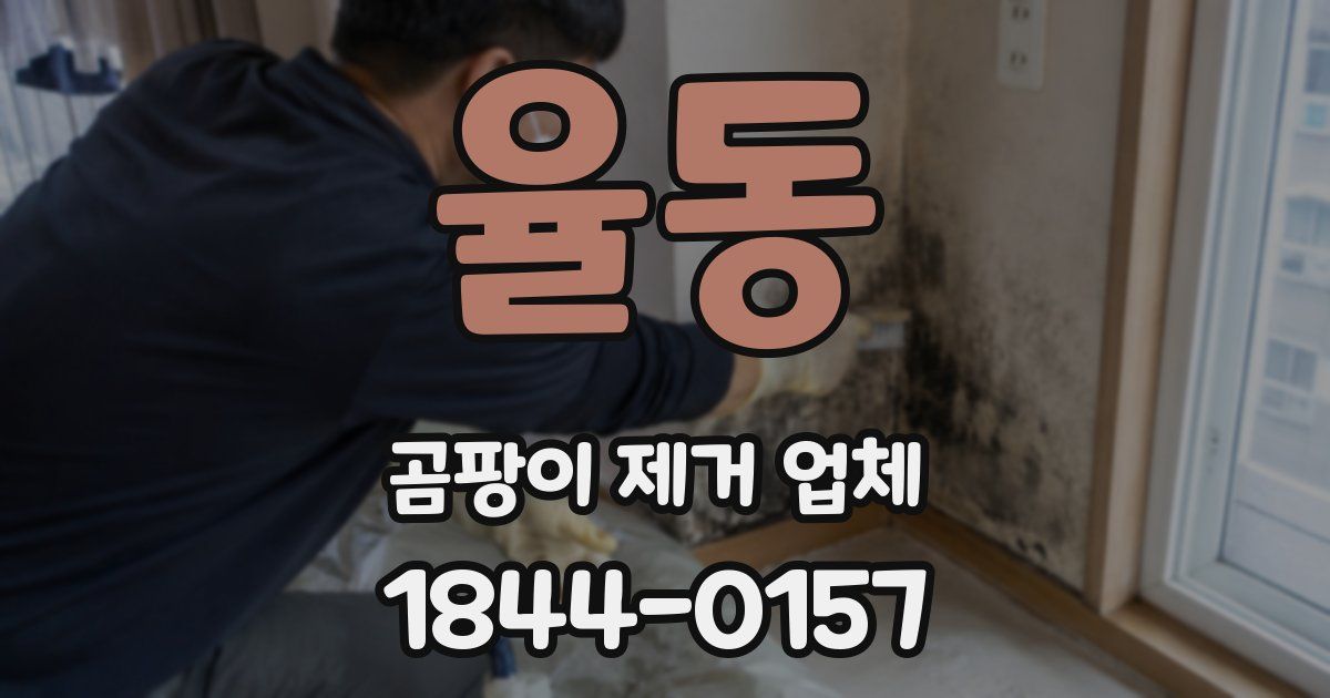 율동 곰팡이 제거 업체