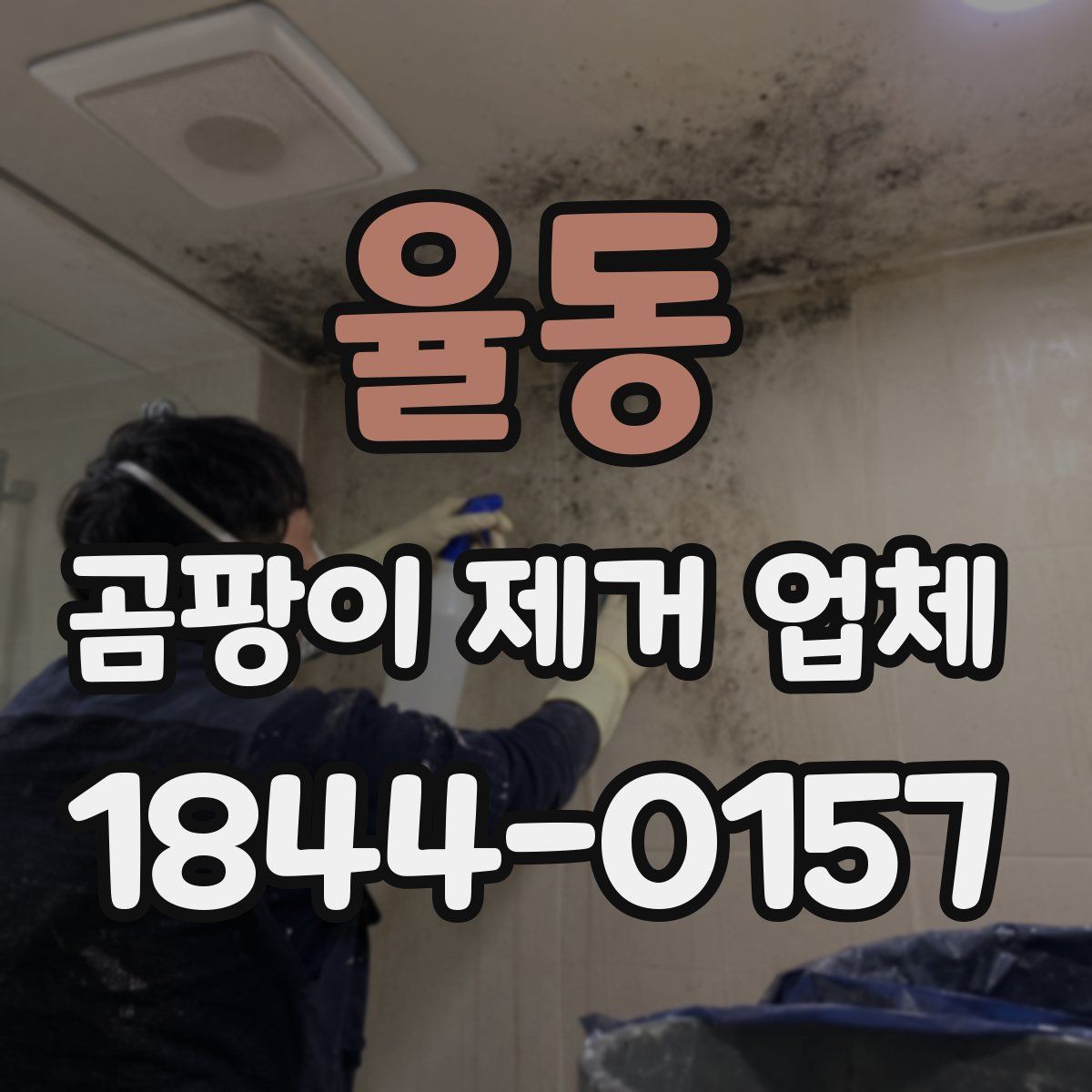 율동 곰팡이 제거 업체