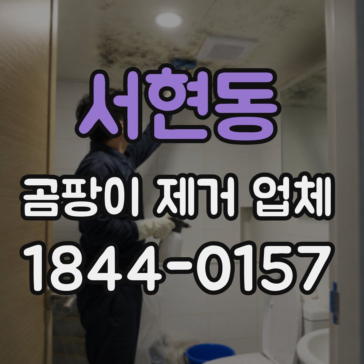 서현동 곰팡이 제거 업체