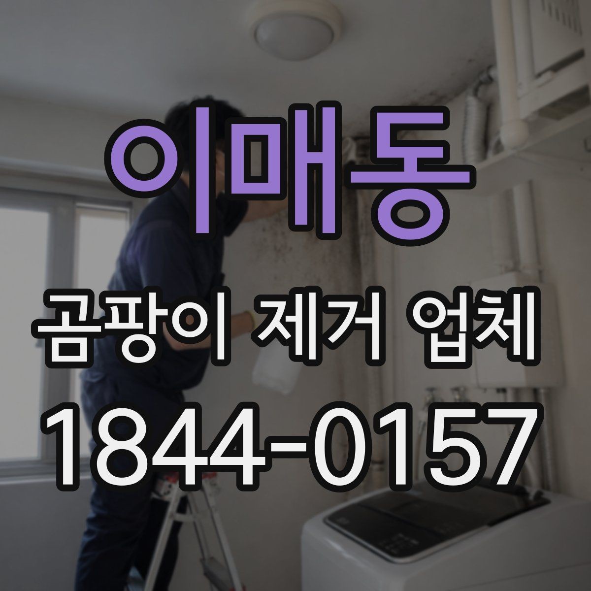 이매동 곰팡이 제거 업체 장마철 실내 오염이 급증할 때 대응하는 방법