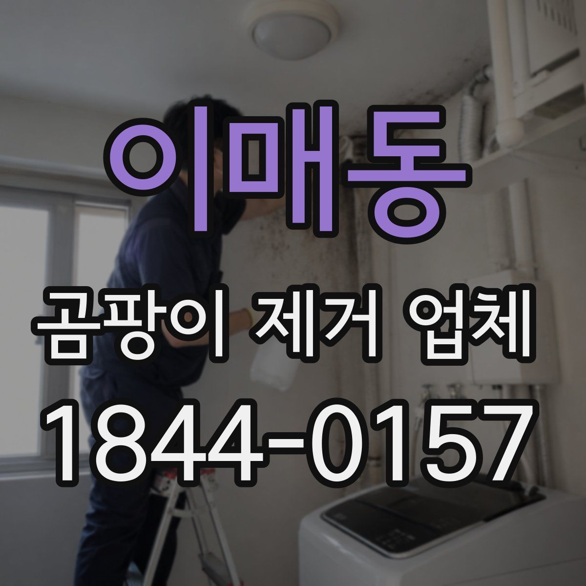 이매동 곰팡이 제거 업체