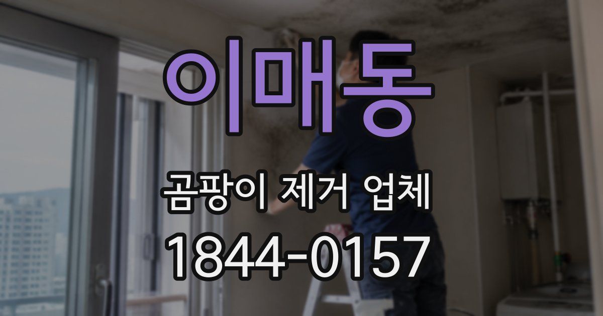 이매동 곰팡이 제거 업체