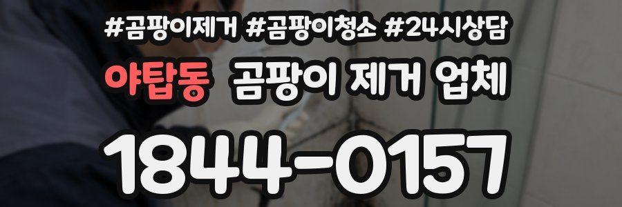 야탑동 곰팡이 제거 업체