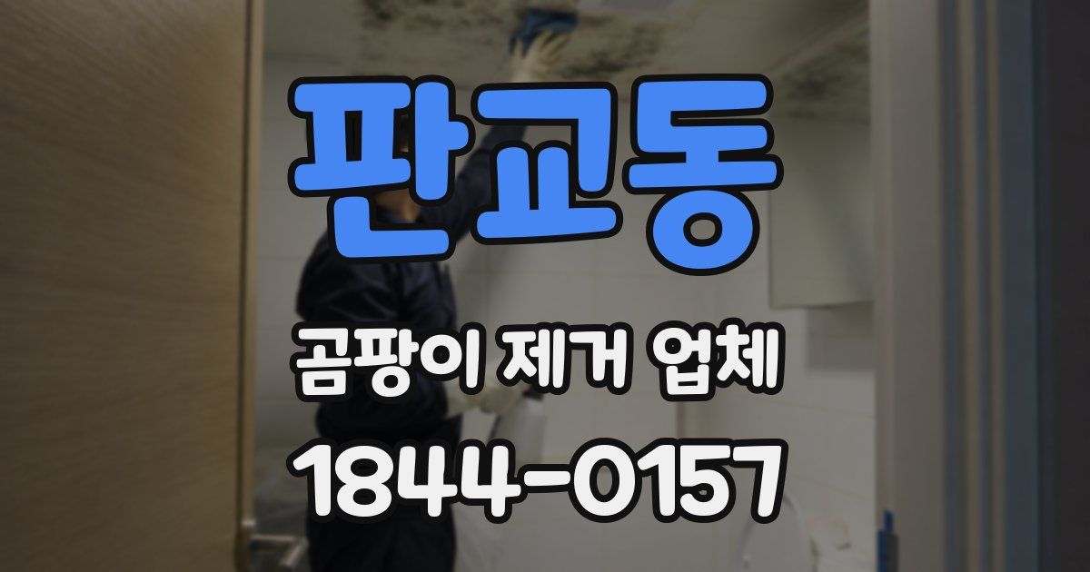 판교동 곰팡이 제거 업체