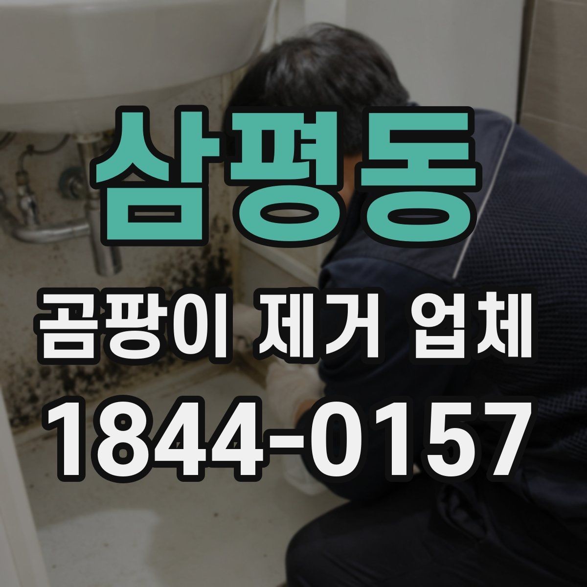 삼평동 곰팡이 제거 업체 실내 습도와 오염 재발의 관계를 살펴보기