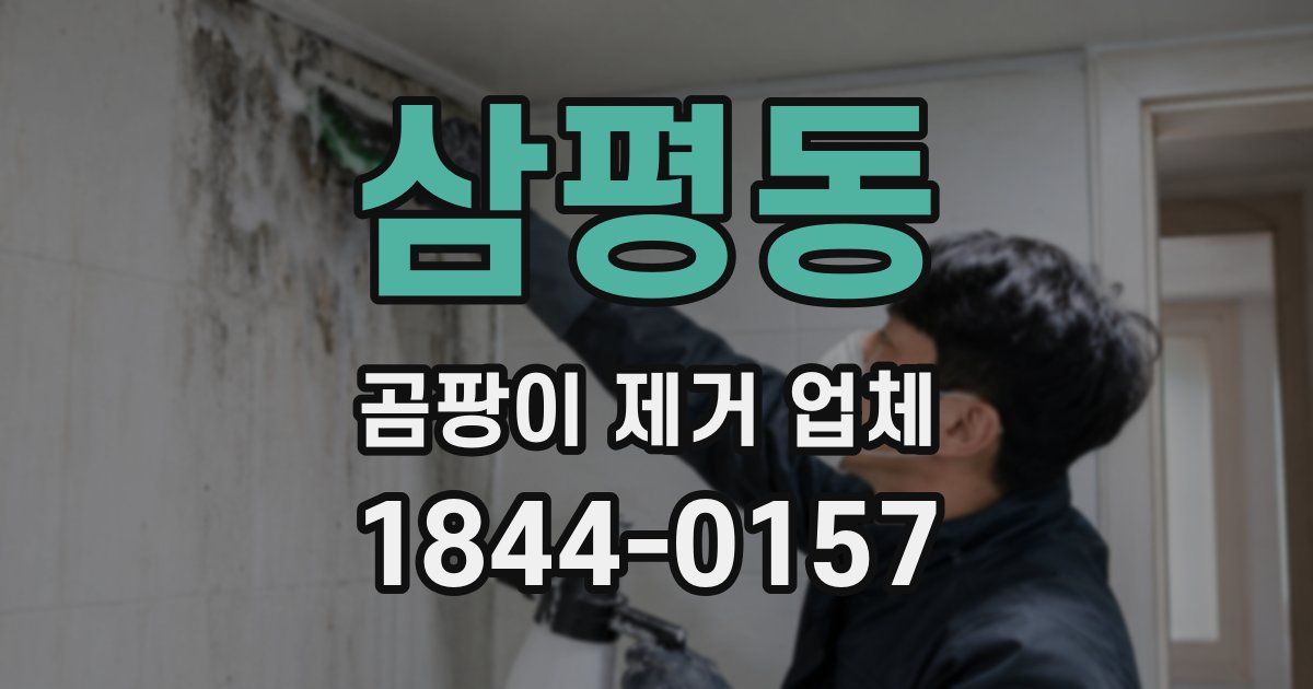 삼평동 곰팡이 제거 업체