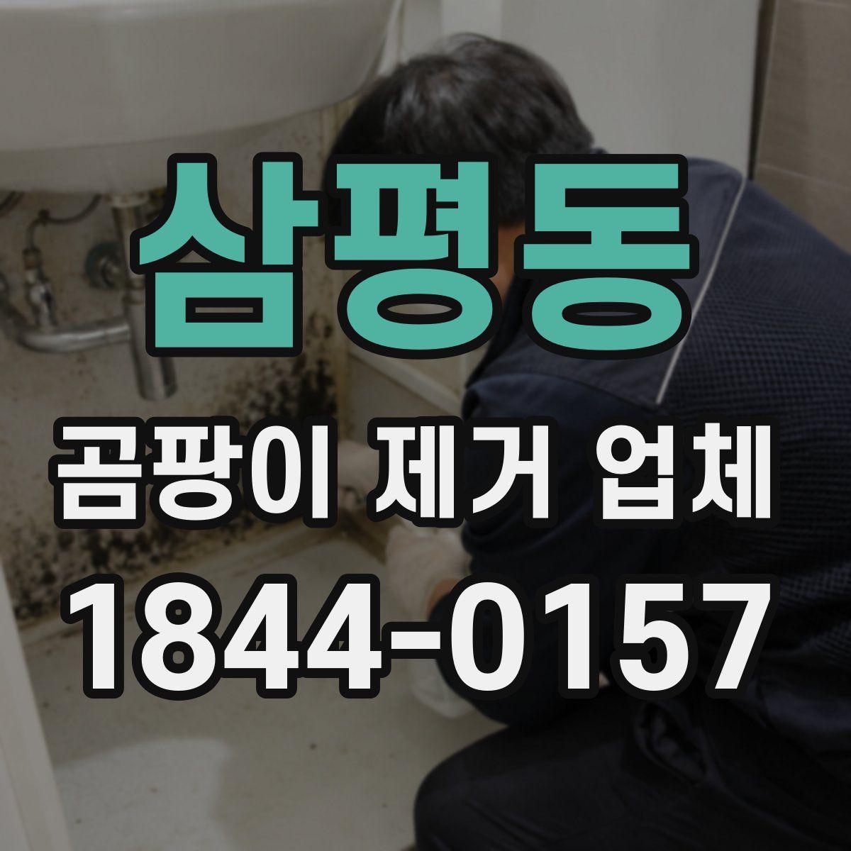 삼평동 곰팡이 제거 업체