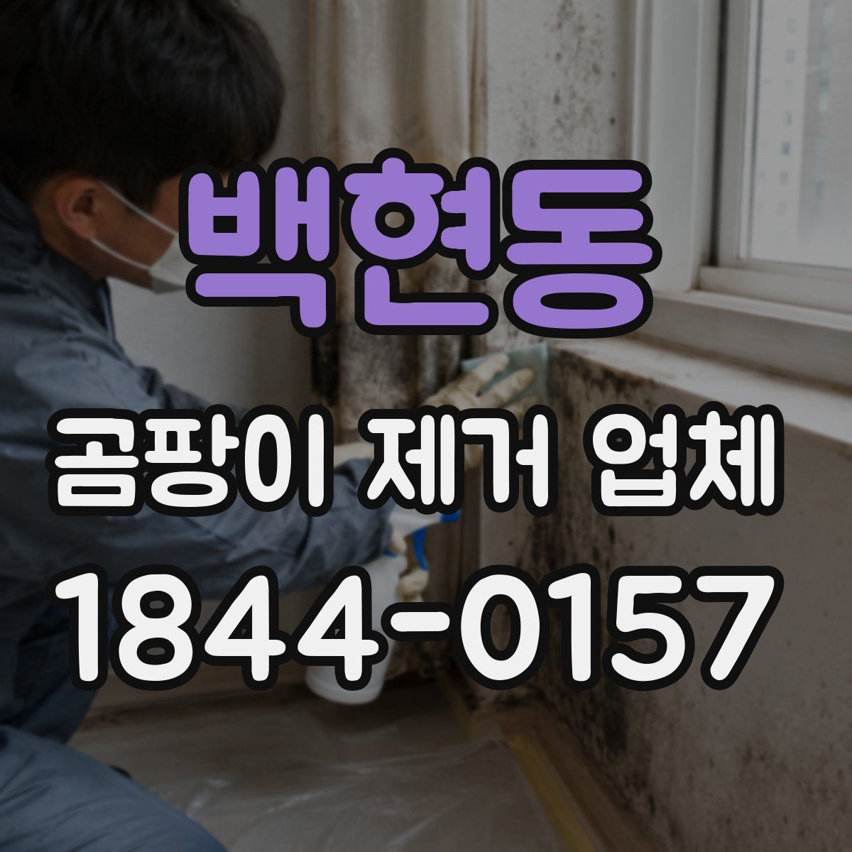 백현동 곰팡이 제거 업체
