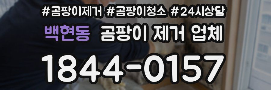 백현동 곰팡이 제거 업체