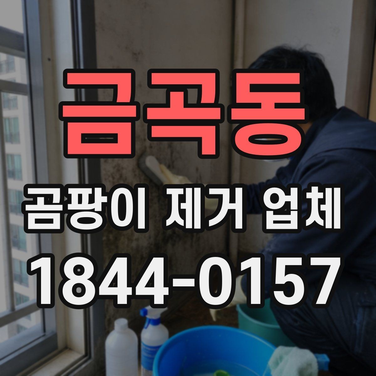 금곡동 곰팡이 제거 업체 반지하와 저층 주택에서 먼저 볼 점검 지점
