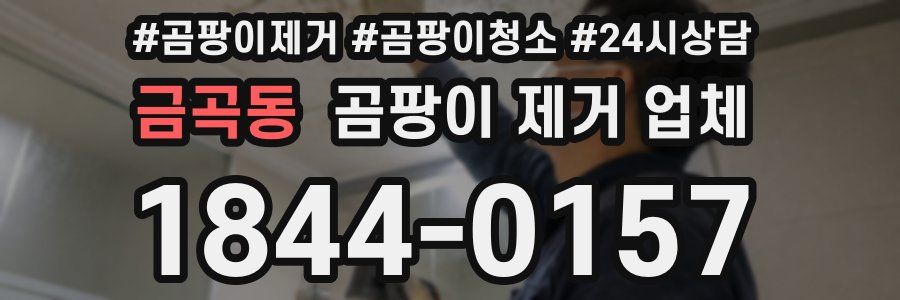 금곡동 곰팡이 제거 업체