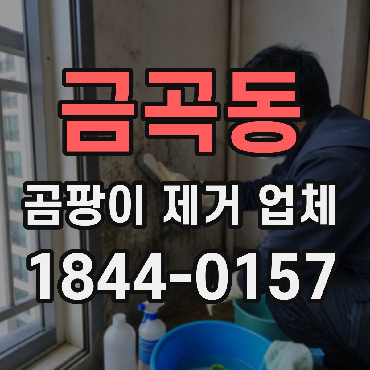 금곡동 곰팡이 제거 업체