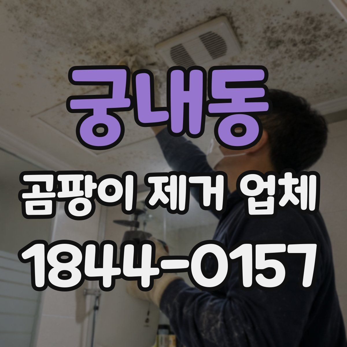 궁내동 곰팡이 제거 업체 현장 방문으로 하자 범위를 구체적으로 파악하는 법