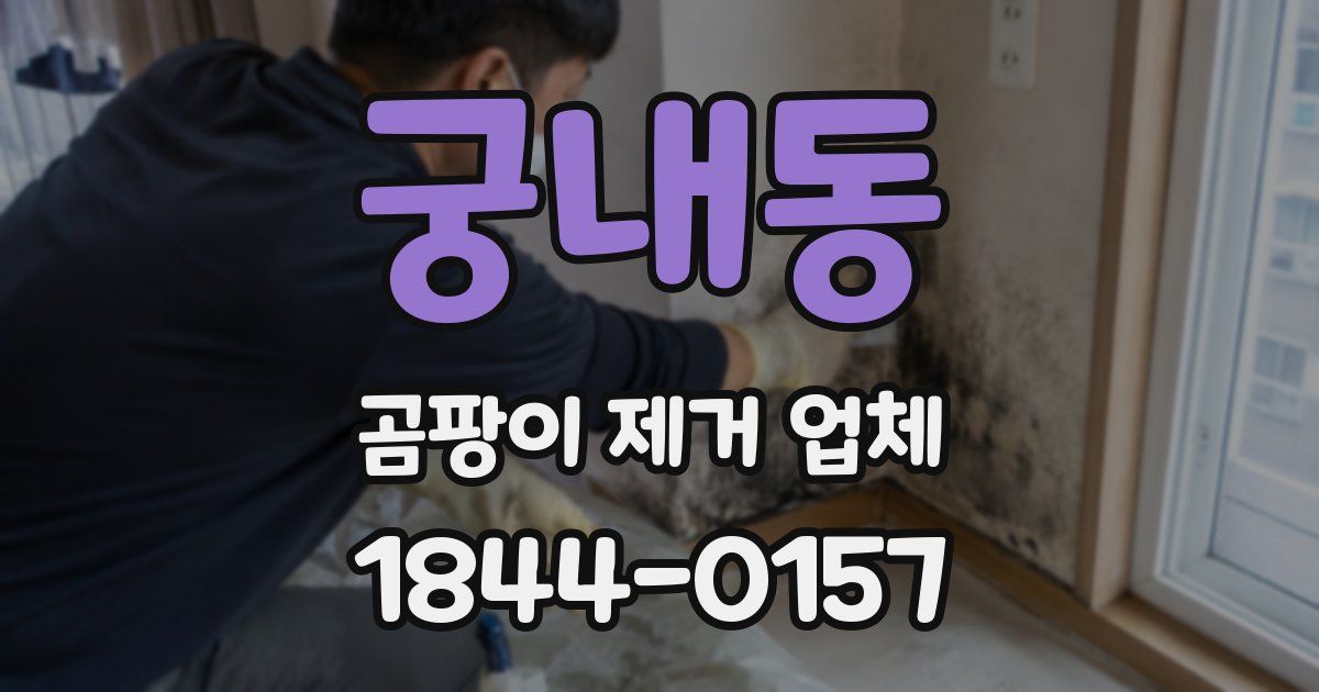 궁내동 곰팡이 제거 업체