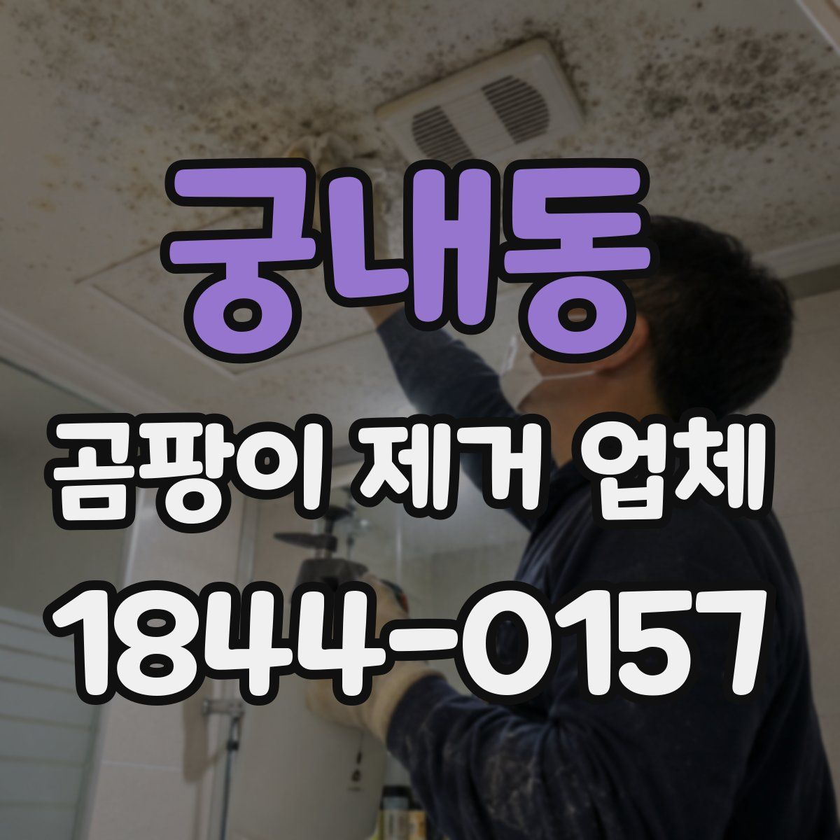 궁내동 곰팡이 제거 업체