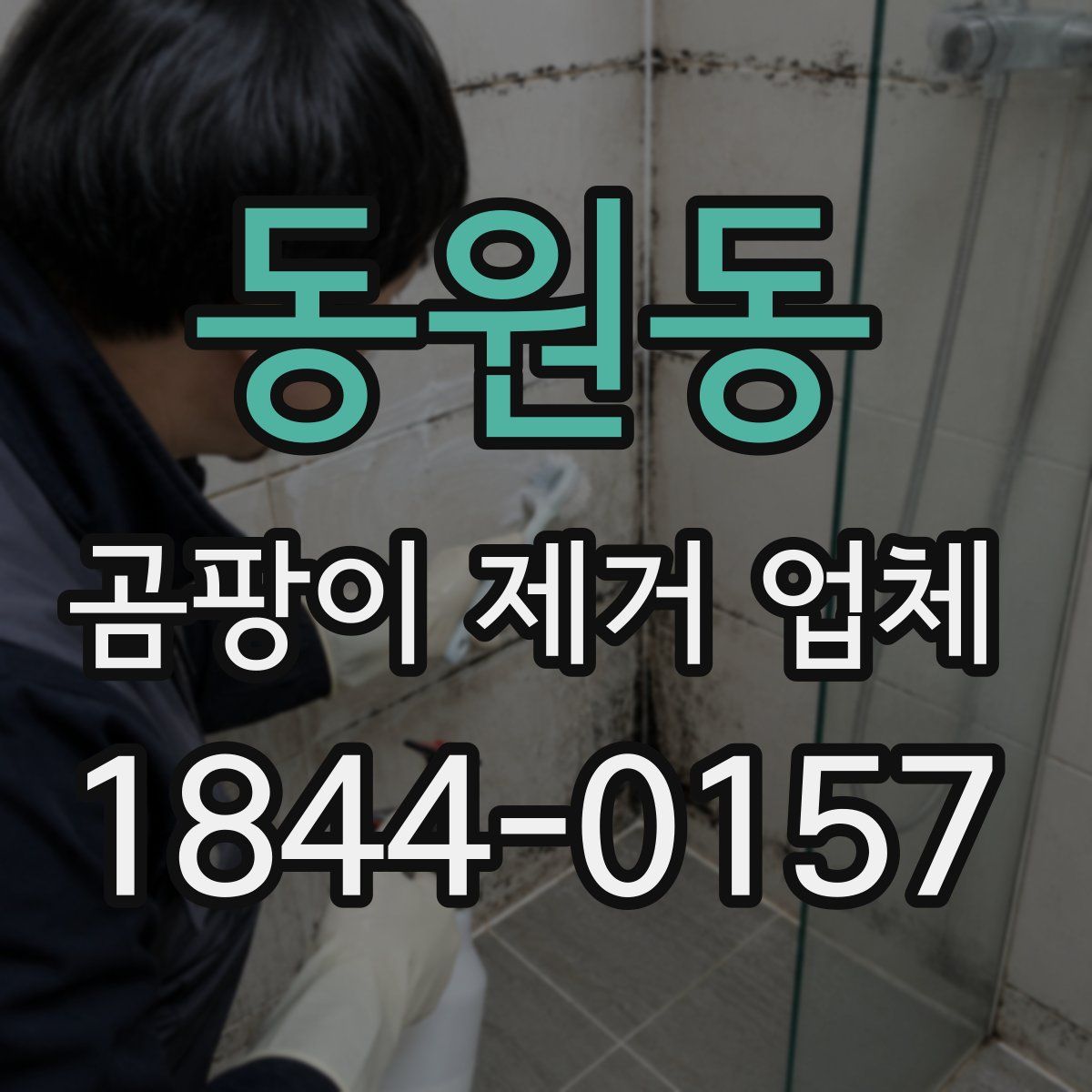 동원동 곰팡이 제거 업체