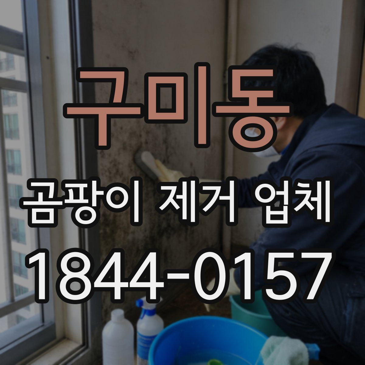 구미동 곰팡이 제거 업체