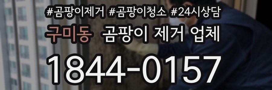 구미동 곰팡이 제거 업체