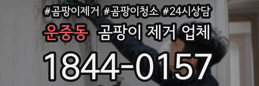 운중동 곰팡이 제거 업체