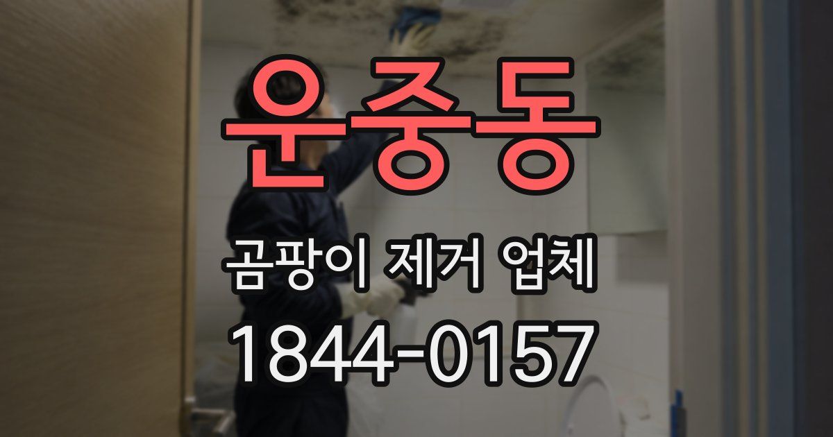 운중동 곰팡이 제거 업체