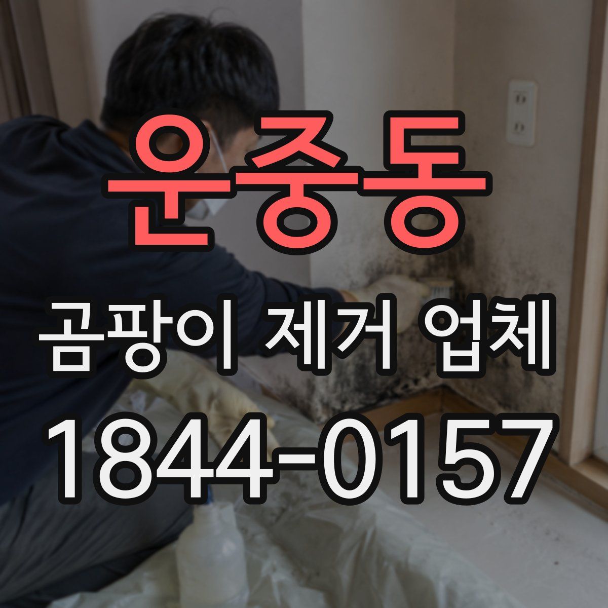 운중동 곰팡이 제거 업체