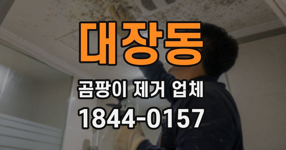 대장동 곰팡이 제거 업체