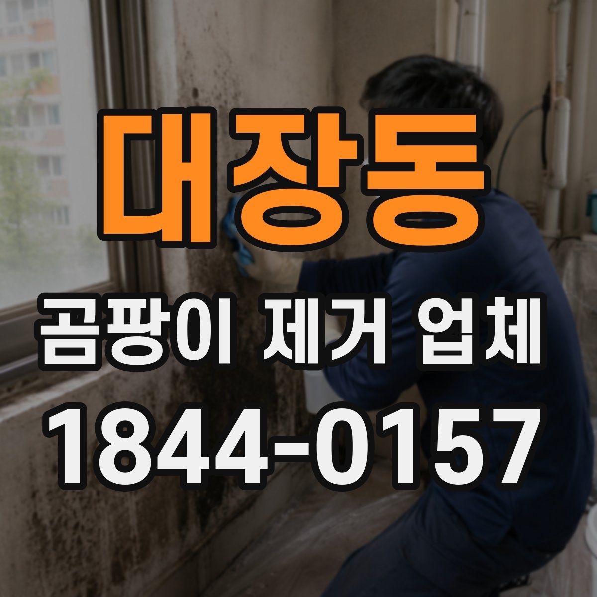 대장동 곰팡이 제거 업체