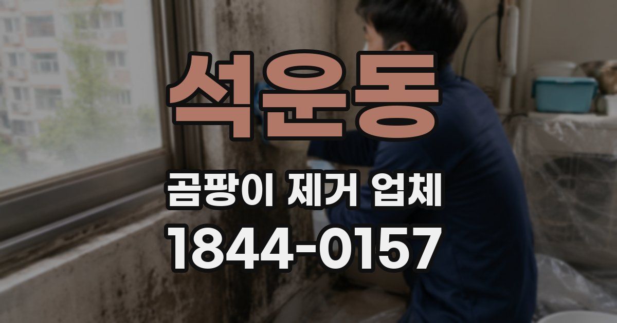 석운동 곰팡이 제거 업체