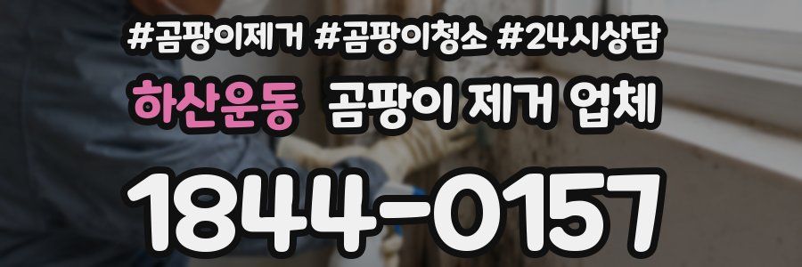 하산운동 곰팡이 제거 업체