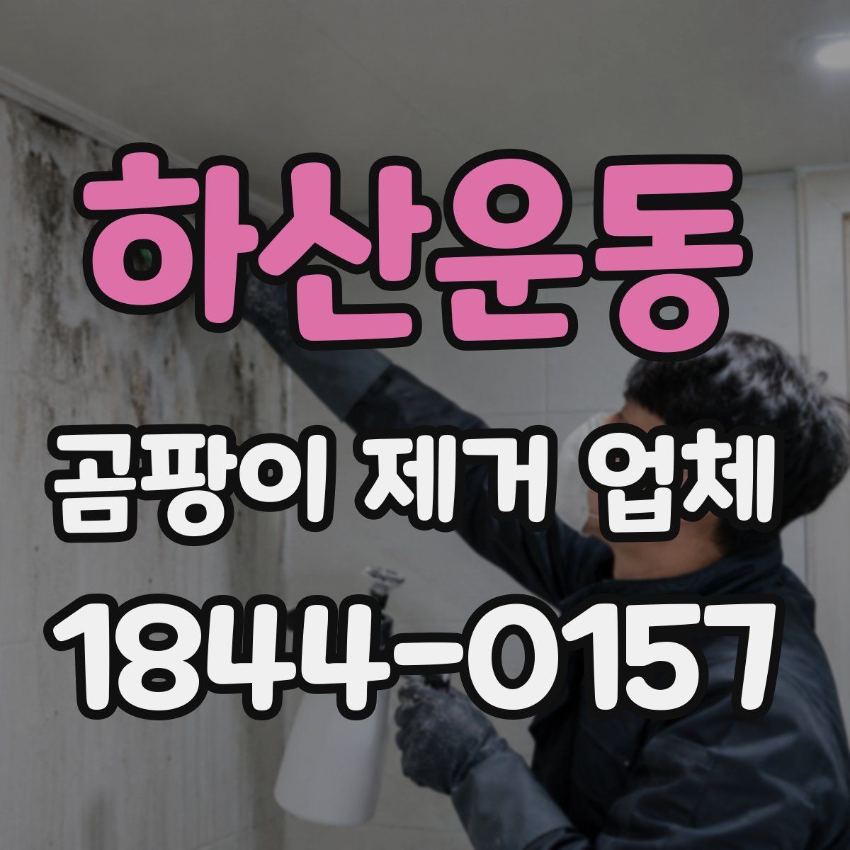 하산운동 곰팡이 제거 업체