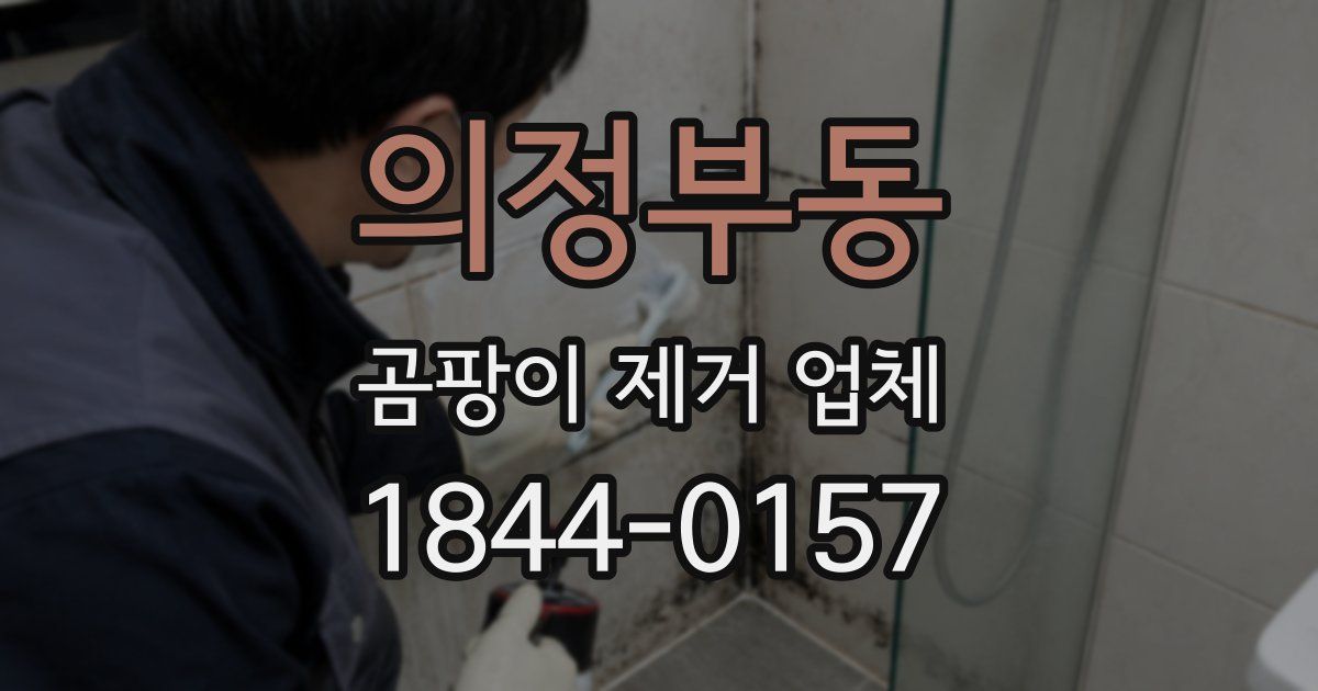 의정부동 곰팡이 제거 업체
