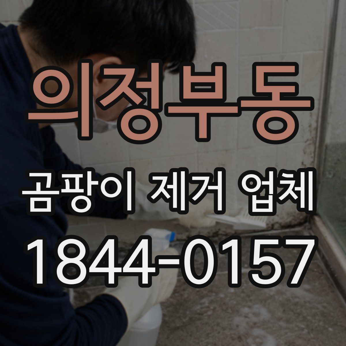 의정부동 곰팡이 제거 업체