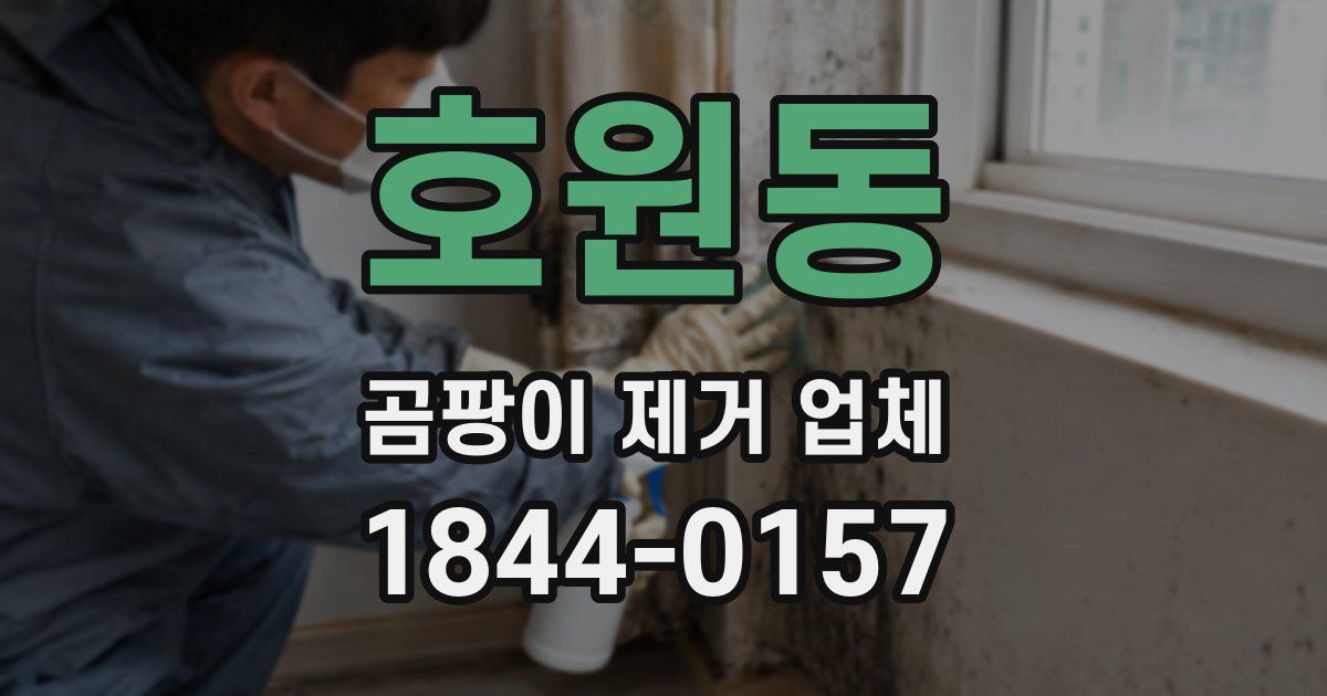 호원동 곰팡이 제거 업체