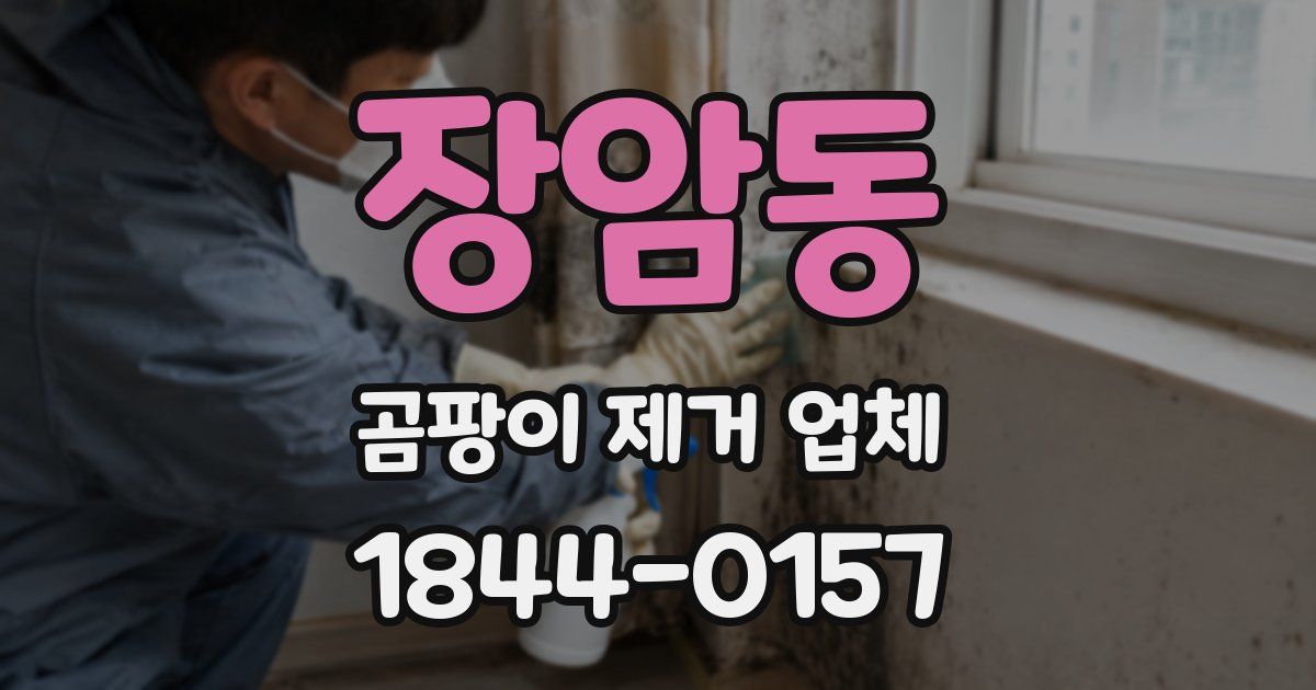 장암동 곰팡이 제거 업체